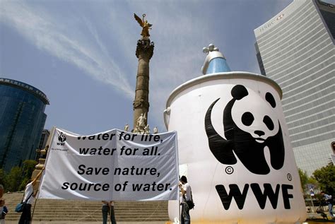 WWF Overview – World Wildlife Fund.